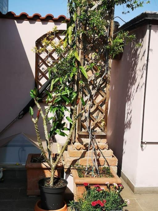 Cozy With Garden Terrace Appartement Milan
