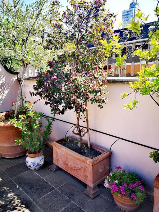 Appartement Cozy With Garden Terrace Milan
