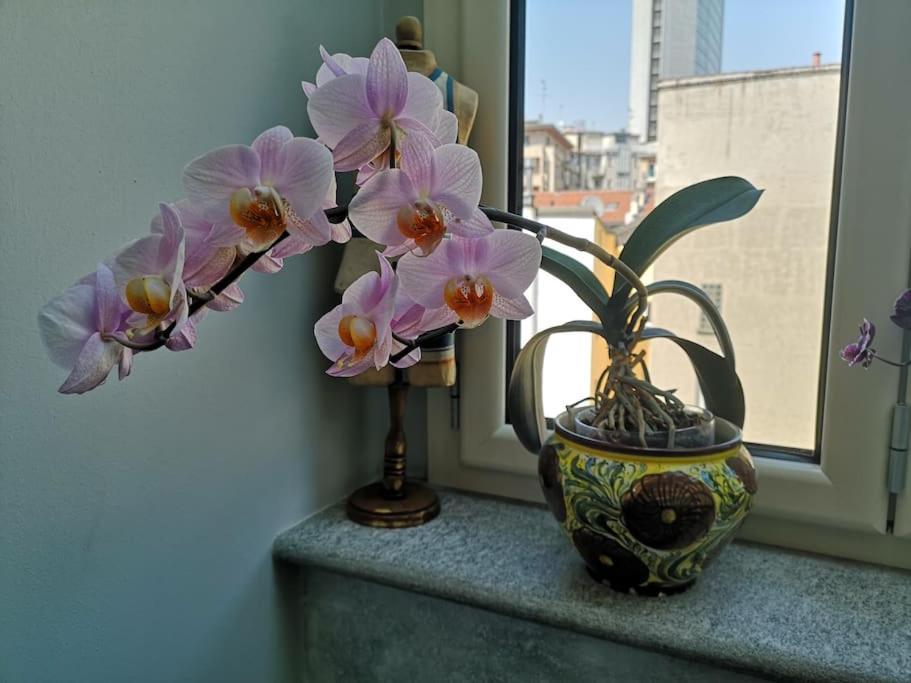Appartement Cozy With Garden Terrace *