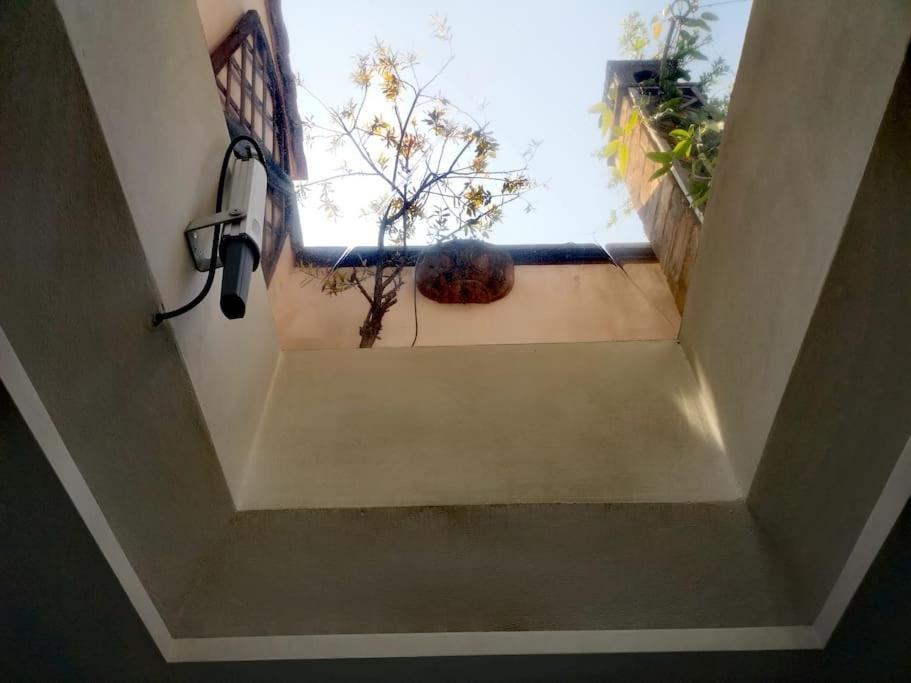 Cozy With Garden Terrace Apartment *