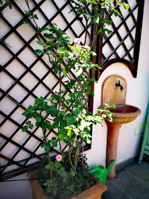 Cozy With Garden Terrace Appartement