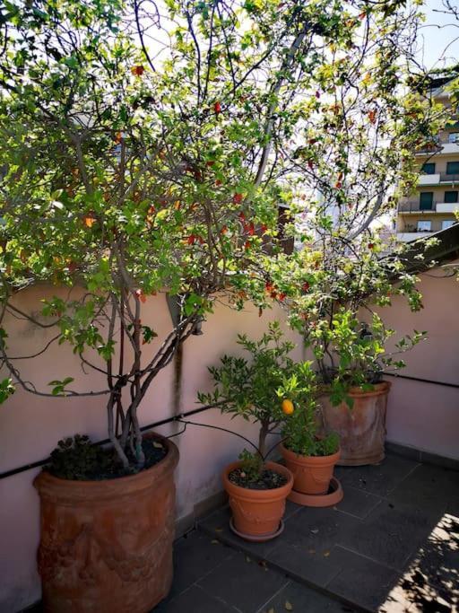 Cozy With Garden Terrace Milan